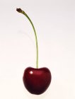 Cherry with drops of water — Stock Photo