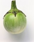 Зеленая круглая баклажана — стоковое фото