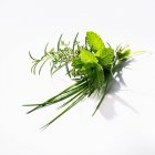 Bunch of fresh herbs — Stock Photo