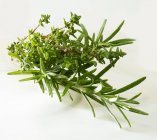 Bunch of Rosemary and thyme — Stock Photo
