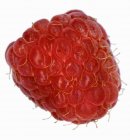 Fresh ripe raspberry — Stock Photo