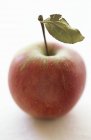 Elstar apple with leaf — Stock Photo