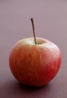 Свежее спелое яблоко Эльстар — стоковое фото