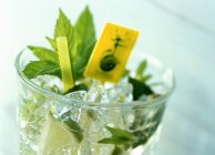 Cocktail Mojito in vetro con ghiaccio — Foto stock