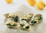 Oysters with Prosecco cream sauce — Stock Photo