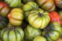 Green beefsteak tomatoes — Stock Photo