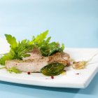 Schnitzel auf Teller mit Salat — Stockfoto