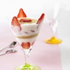 Muesli con fragole e yogurt — Foto stock