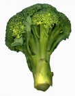 Fresh Green Broccoli — Stock Photo