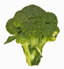 Frischer grüner Brokkoli — Stockfoto