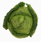 Green Savoy cabbage — Stock Photo