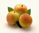 Свіжих персиків стиглі — стокове фото