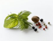 Closeup view of herb and spice still life — Stock Photo