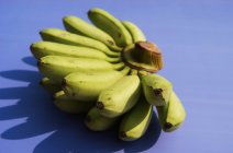 Bunch of mini bananas — Stock Photo
