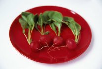Fresh radishes with stalks — Stock Photo