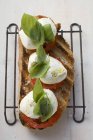 Tomatoes, mozzarella and basil on toasted bread — Stock Photo