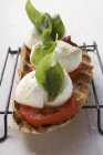Tomatoes, mozzarella and basil on toasted bread on wire rack over white surface — Stock Photo