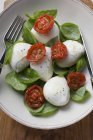 Insalata caprese - Tomatoes with mozzarella and basil  on white plate with fork — Stock Photo