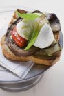 Vegetables and mozzarella on slice of grilled bread — Stock Photo