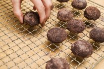 Human hand placing hazelnut biscuits — Stock Photo