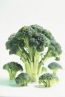 Brócoli verde fresco - foto de stock