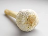 Garlic bulb isolated — Stock Photo