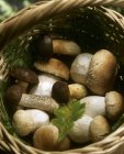 Ceps in a basket, close-up — Stock Photo