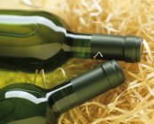 Closeup view of two bottles of white wine — Stock Photo