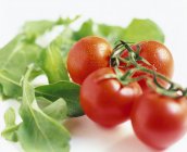 Tomates y hojas de ensalada - foto de stock