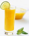 Orange juice garnished — Stock Photo