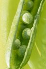 Opened pea pod with peas — Stock Photo