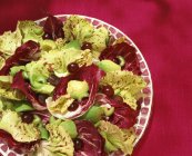 Radicchio con avocado, sedano e olive su piastra su superficie rossa — Foto stock