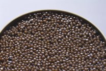 Caviar negro en estaño - foto de stock