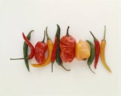 Various types of chilli — Stock Photo