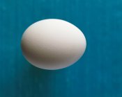 Свежее белое яйцо — стоковое фото