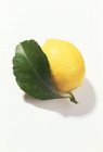 Limone fresco con foglia — Foto stock