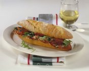 Closeup view of baguette roll filled with salami, dried tomatoes and rocket — Stock Photo