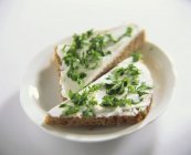 Soft cheese and parsley — Stock Photo