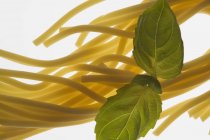Spaghetti und Basilikum auf weißem Hintergrund — Stockfoto