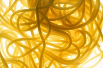 Emmêlement cuit de spaghettis — Photo de stock