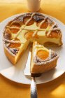 Piece of apricot cheesecake — Stock Photo