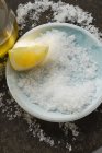 Coarse salt with lemon slice — Stock Photo