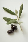 Чорні оливки з гілочкою — стокове фото