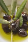 Черные оливки в миске — стоковое фото