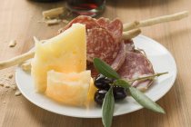 Salame con formaggio e grissini sul piatto — Foto stock