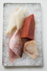 Assortimento di filetti di pesce — Foto stock