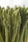 Green fresh asparagus — Stock Photo
