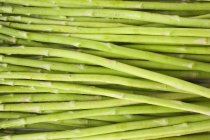 Texture di asparagi verdi — Foto stock