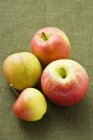 Cuatro manzanas frescas maduras - foto de stock