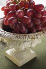 Свежий красный виноград — стоковое фото